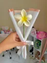 Mimos Gifts